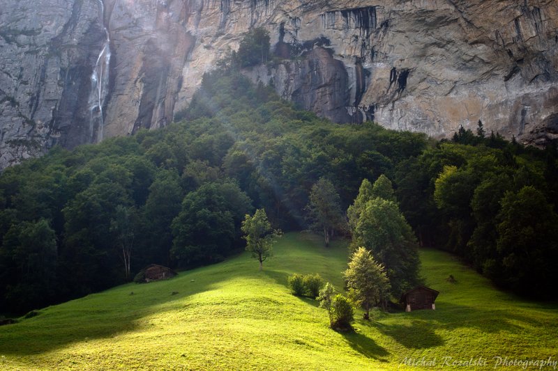 trees, ,light, ,rocks, ,spring, ,green, ,sunrays, ,sunlight, , Spotlightphoto preview