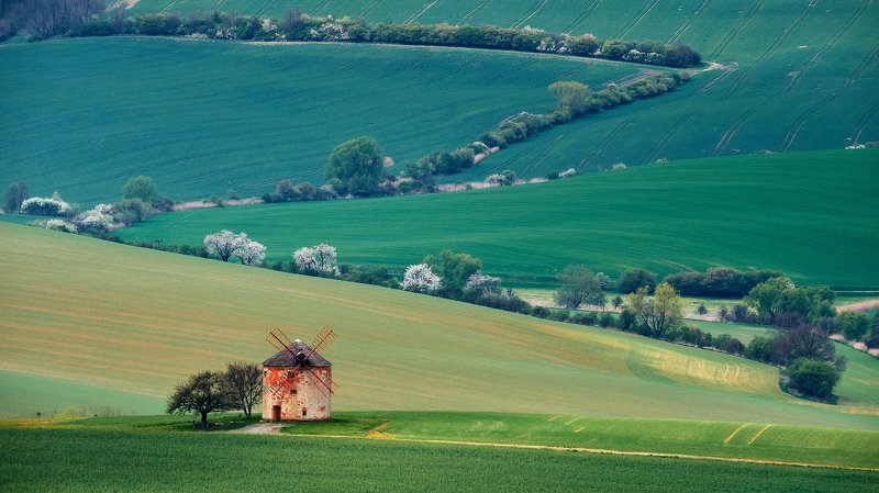 южная моравия, чехия, весна,  south moravia, czech Сельская веснаphoto preview