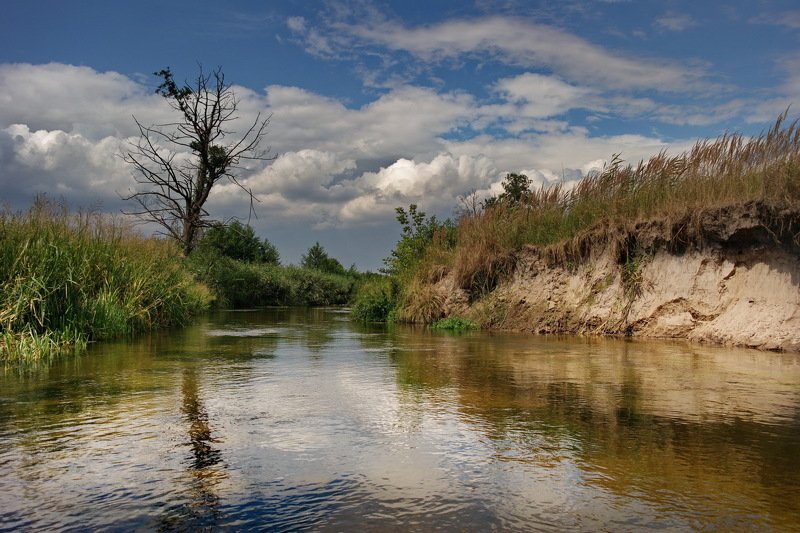 river, summer, poland, река, travel Wieprzphoto preview