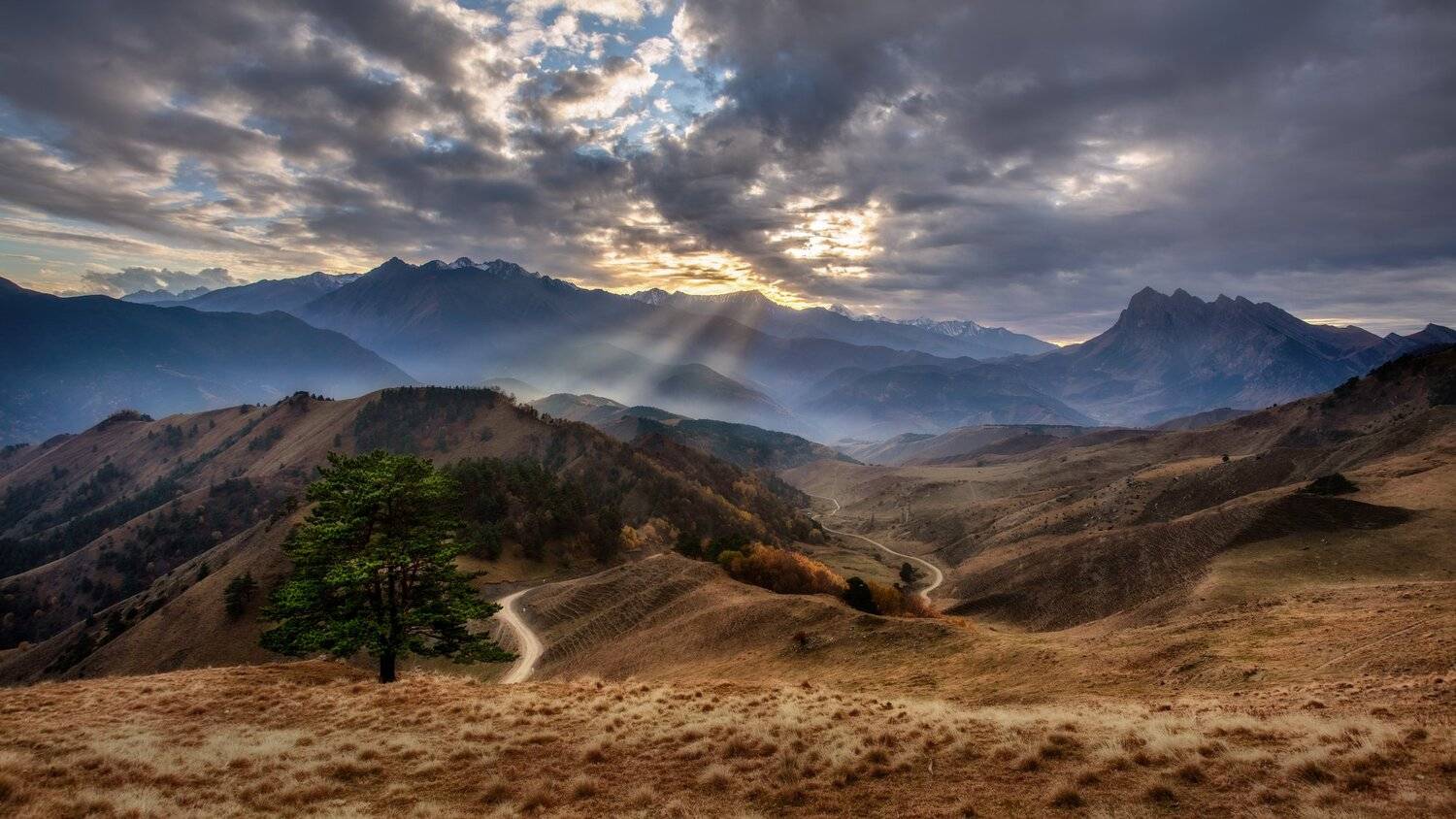 Солнца луч. Автор: Юлия Шумляева , Юлия Шумляева