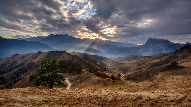 Солнца лучphoto preview