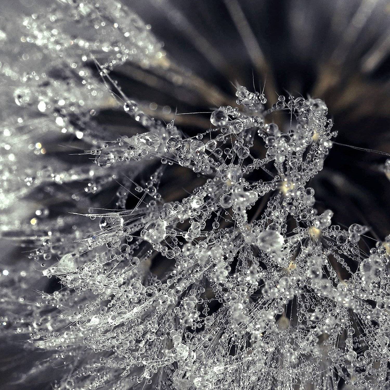 южный, урал, губерля орск, новотроицк, Качурин Алексей