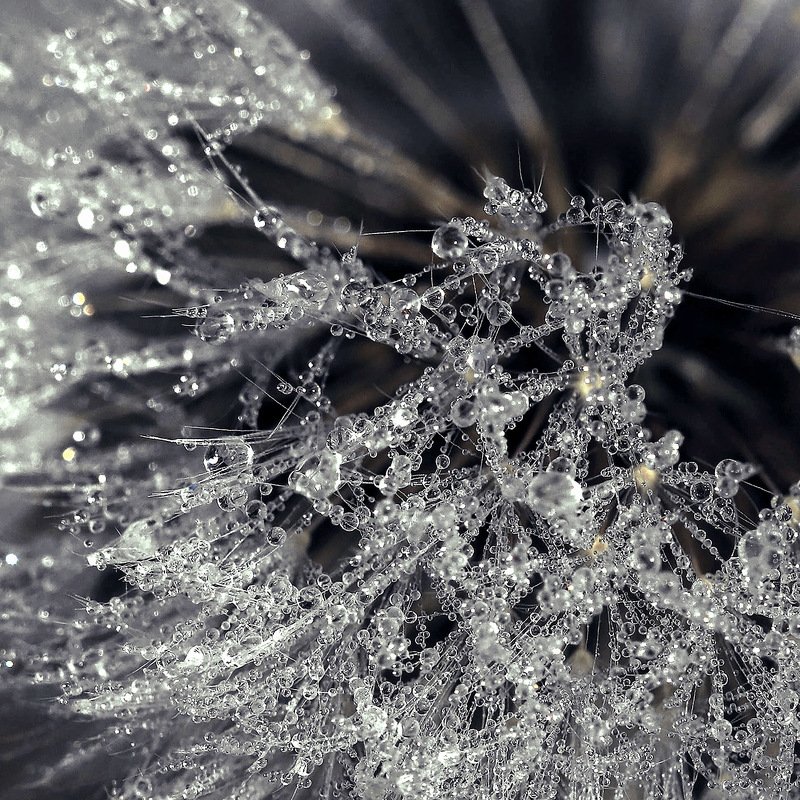 южный, урал, губерля орск, новотроицк Молекулярная..photo preview