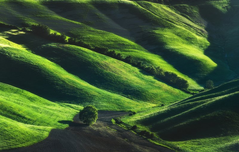 #tuscany #italy #landscapephotography #tuscanyworkshop #photographyworkshop #valdorcia Green Beautyphoto preview