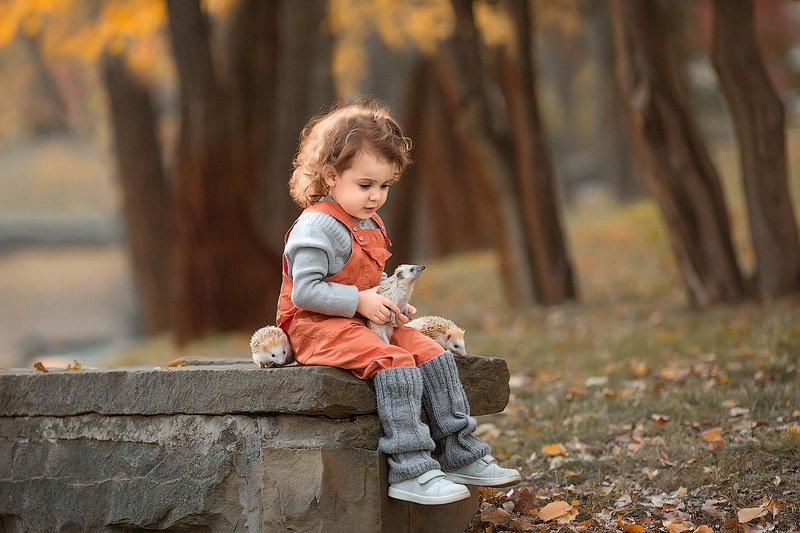 фотопрогулка, детская фотосессия, дети, детская фотосессия, детский фотограф, фотосессия, радость, девочка, счастье, детский и семейный фотограф, детское фото, дети на фото, осень, закат, вечер, малышка, восторг Вот это ежики!photo preview