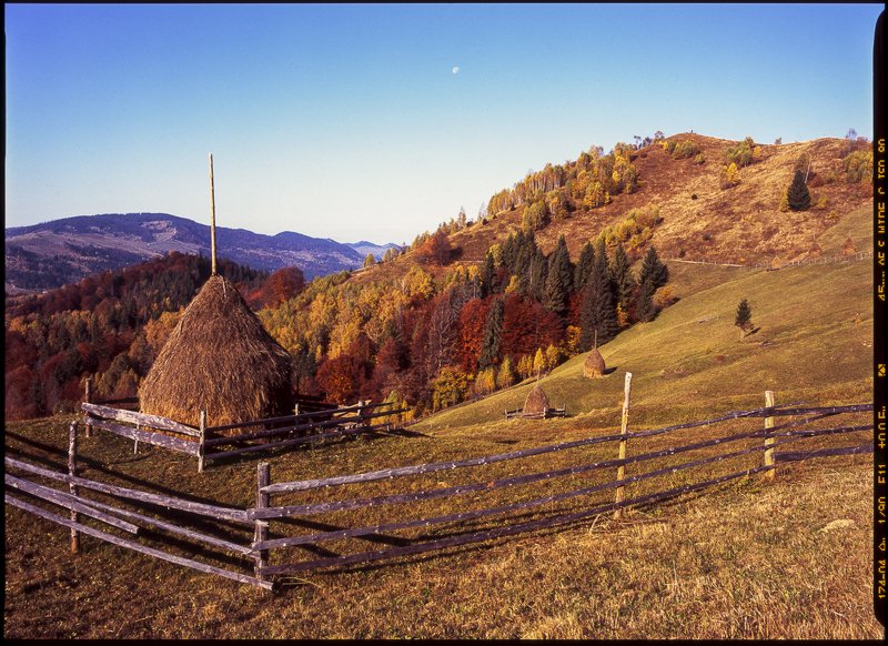 autumn, carpathian, colorful, countryside, fall, field, foliage, forest, hill, house, land, landscape, meadow, morning, mountain, mountains, nature, outdoor, pasture, picturesque, red, rural, scenery, season, tranquil, travel, tree, view, wood, yellow Autumn foliage trees in the mountains. Meadow with haystack and forest in the Carpathian mountains Fuji Velvia filmphoto preview