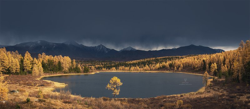 алтай, россия, озеро, горы, осень, пейзаж, природа Золото Киделюphoto preview