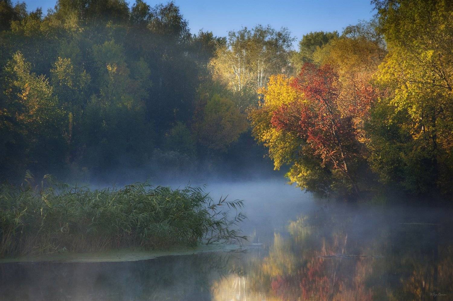 Осенних дней немного света .... Автор: Roma Chitinskiy осень,утро,берег,река,лес, Roma Chitinskiy