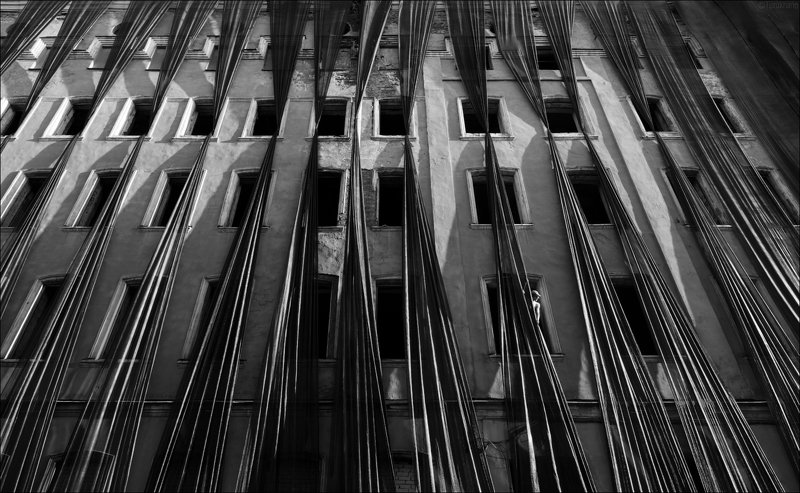 Парусаphoto preview