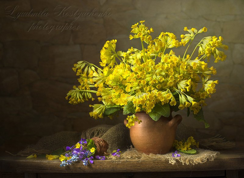 натюрморт с примулами,весна,букет,цветы,художественное фото,искусство. photo preview