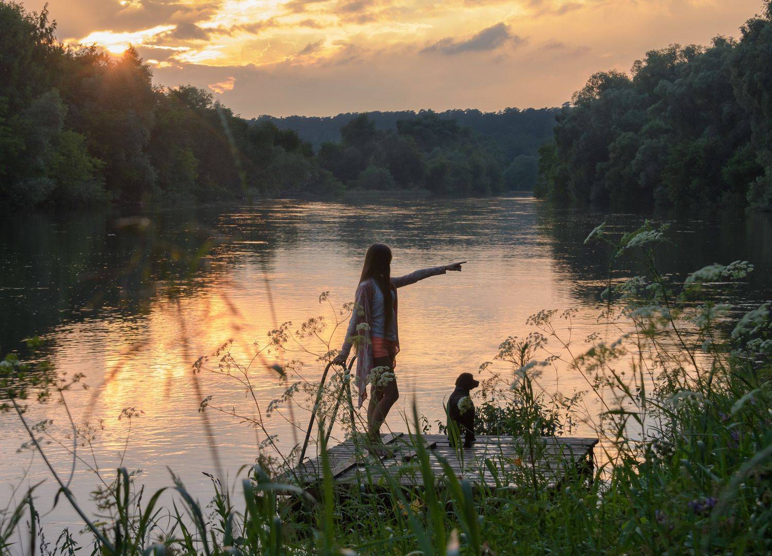 Кто там шуршит. Автор: Ксения Соварцева спаниель, девушка, вечер, закат, Москва река, Подмосковье, вечер на речке, Ксения Соварцева