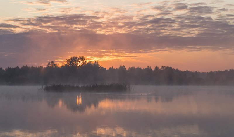 Сентябрьphoto preview