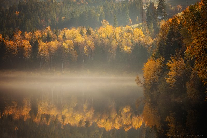 poland, polish, landscape, sunrise, sunset, colours, autumn, awesome, amazing, adventure, travel, beautiful, morning, reflection, trees, lake Autumn reflectionphoto preview