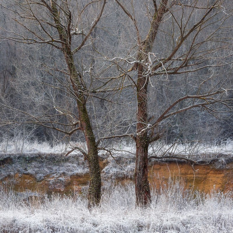 Arizona dreamphoto preview