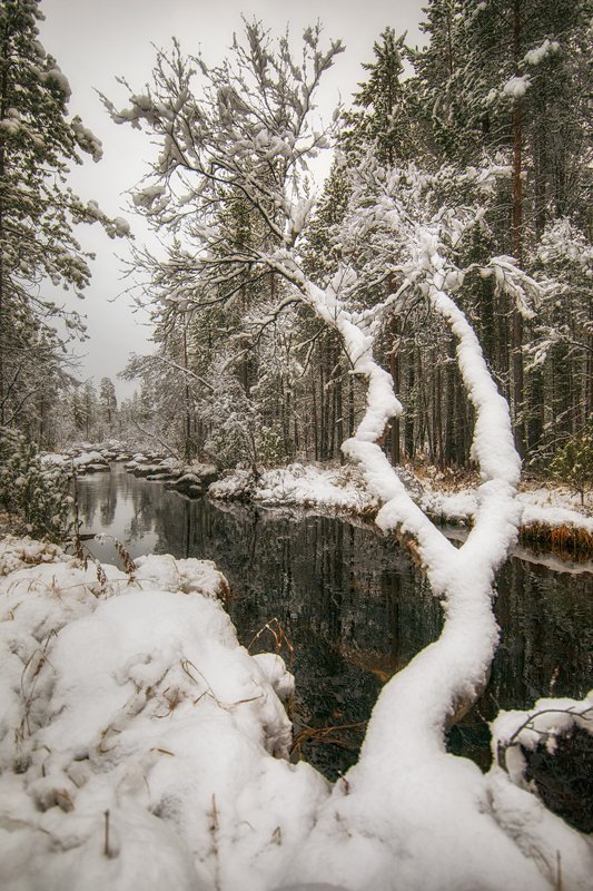 Где прячется зима ...photo preview