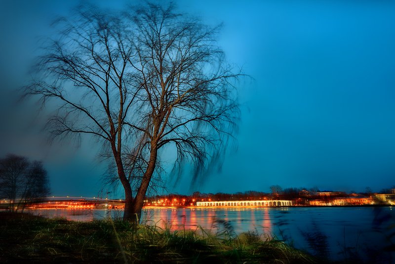 дерево,природа, река, волхов, великий новгород, пейзаж Дерево на берегу Волховаphoto preview