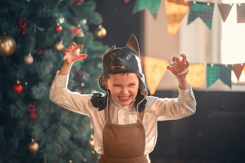 Я злой и страшный серый волк!photo preview