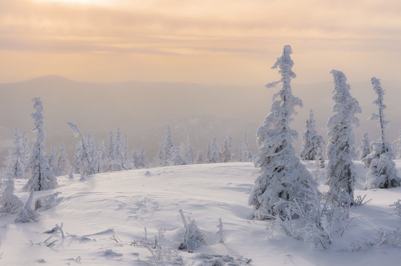 шерегеш, горная шория, кемеровская область, гора зеленая, каритшал, горы, куржак, иней, елки, ели, зимний пейзаж, снег, снежныйноябрь Ванильное утроphoto preview