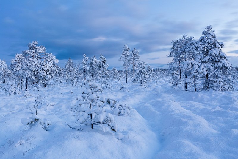 Soft morningphoto preview