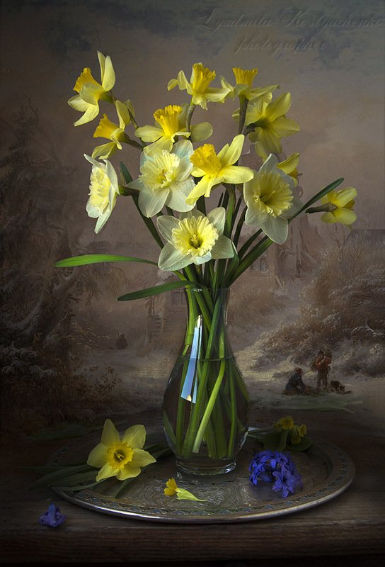 натюрморт с нарциссами,весна,букет,цветы,художественное фото,искусство. photo preview