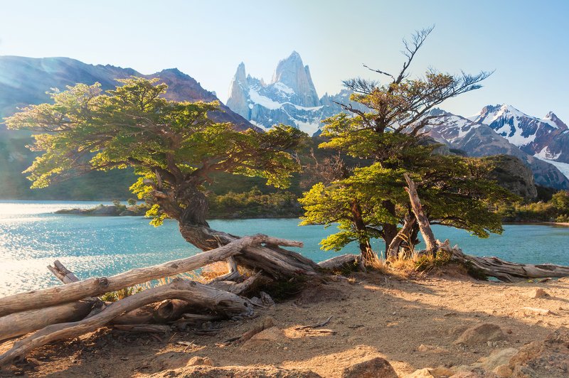 landscape, patagonia, argentina, mount, park, tree, view, lake, fitzroy, chalten Chalténphoto preview