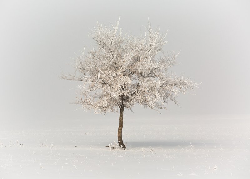 одиночествоphoto preview