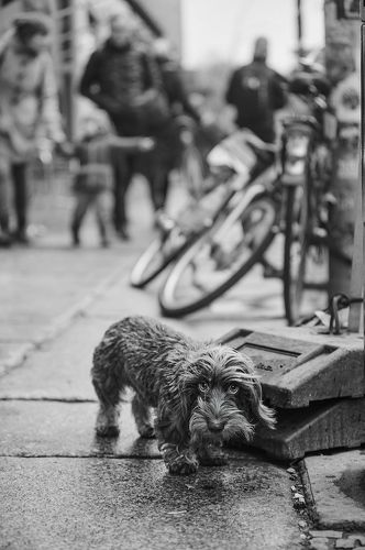 Мокрое настроение