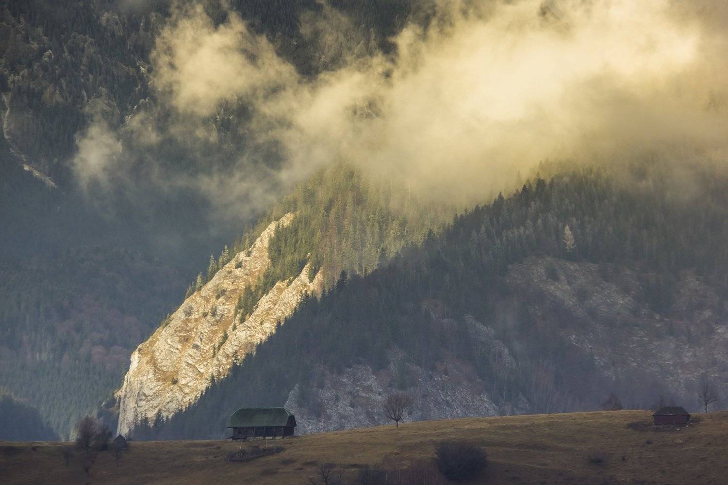 fog autumn photography beautiful, Comșa Bogdan