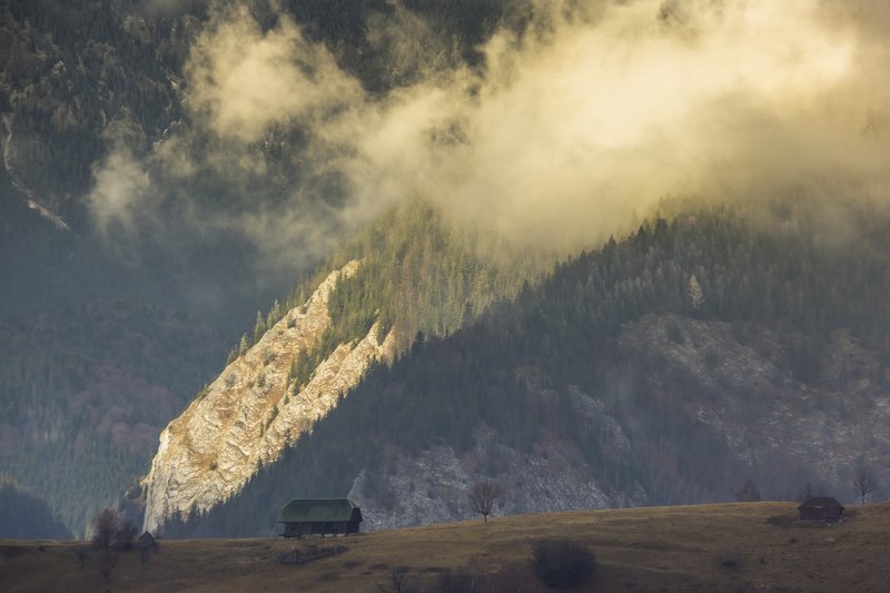 fog autumn photography beautiful Fogphoto preview