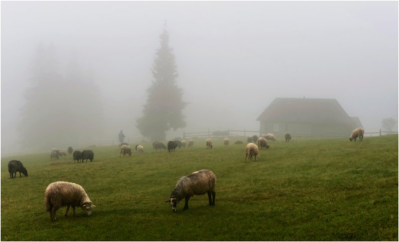 карпаты photo preview