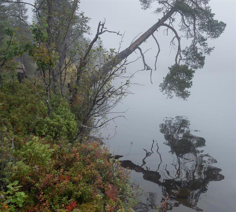 foggy morning, fog, туман, кольский Silencephoto preview