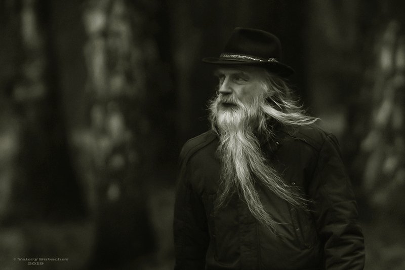 Зима идет...photo preview