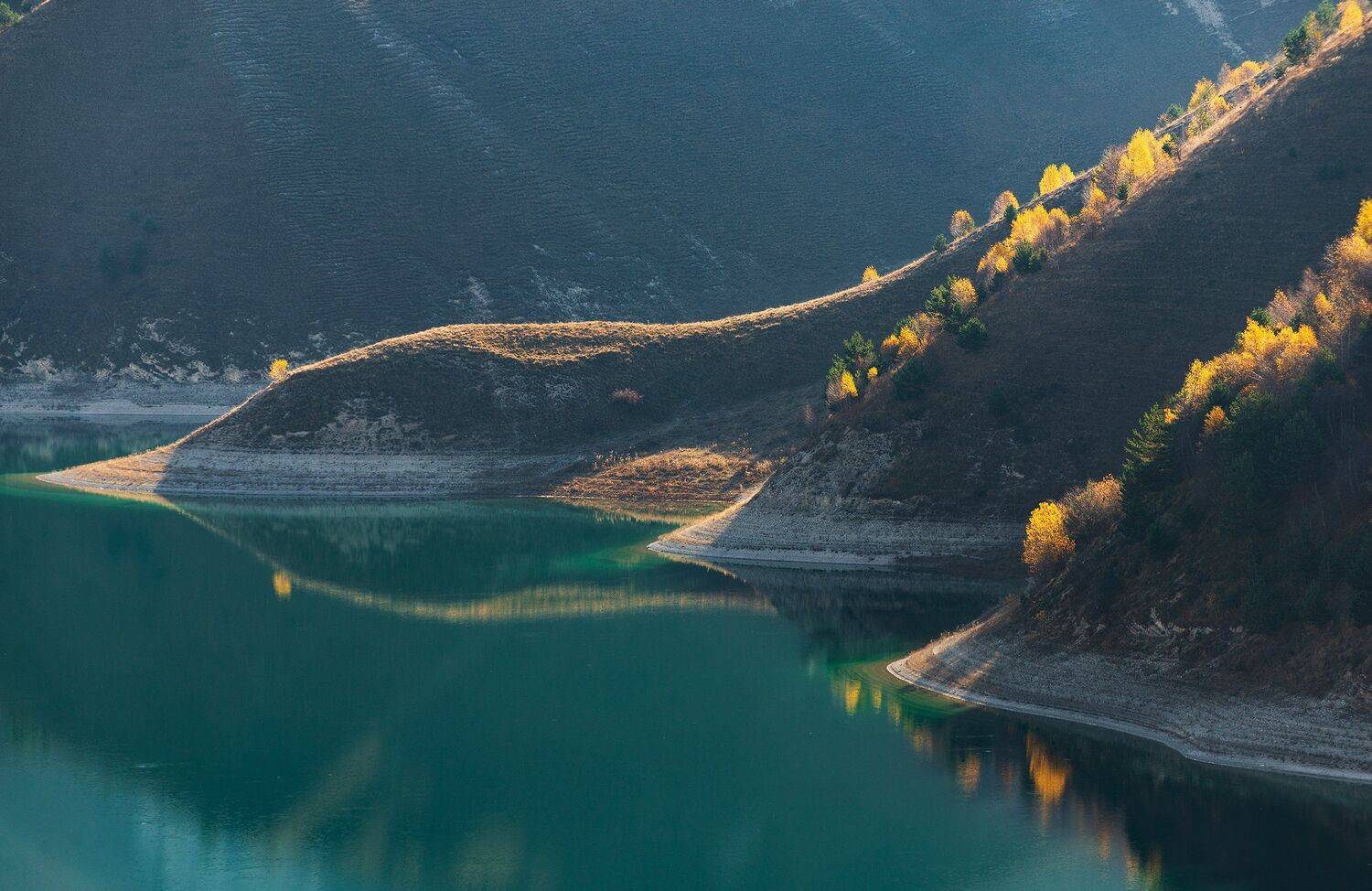 , Дмитрий Новоселов