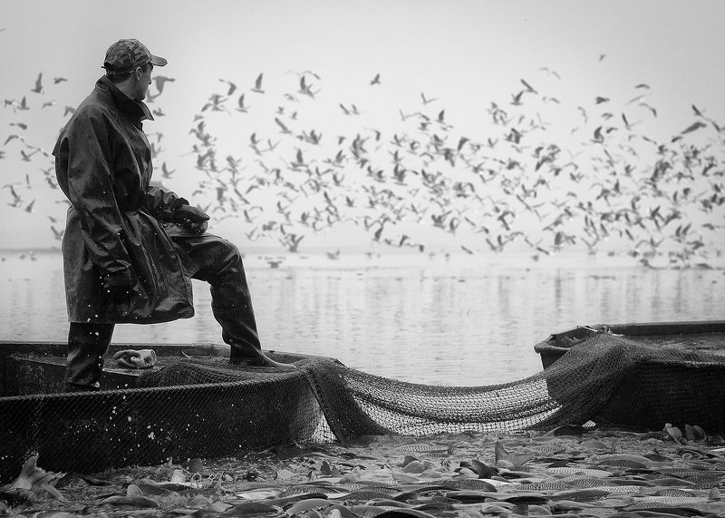 Из уловаphoto preview