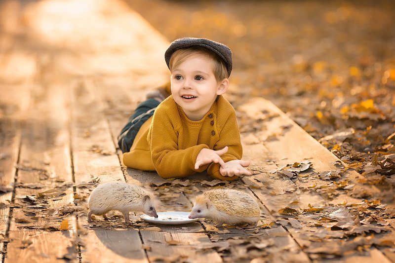 фотограф, зеркальный фотоаппарат canon mark iii, фотопрогулка, осень, малыш, ребенок, мальчик, детская фотосессия, детский фотограф, счастье, радость, дети на фото, детская фотография, любовь, ежики, закат, красота, восторг *****photo preview