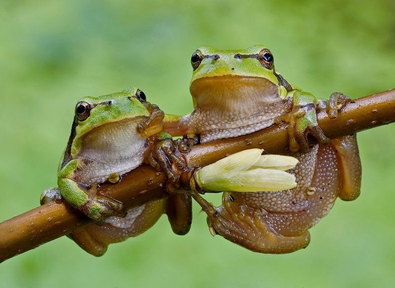 zawsze razem...photo preview