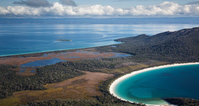 О том, что видят птицы. фото превью