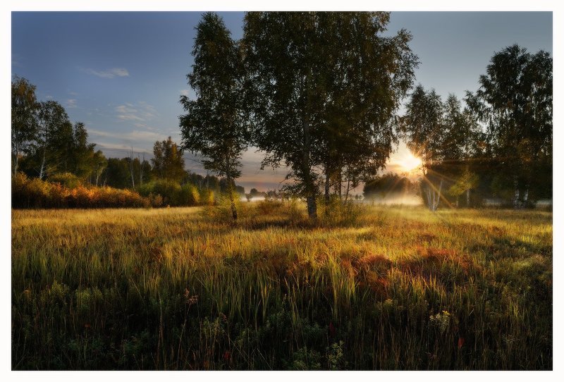 УТРОМ НА ОПУШКЕphoto preview