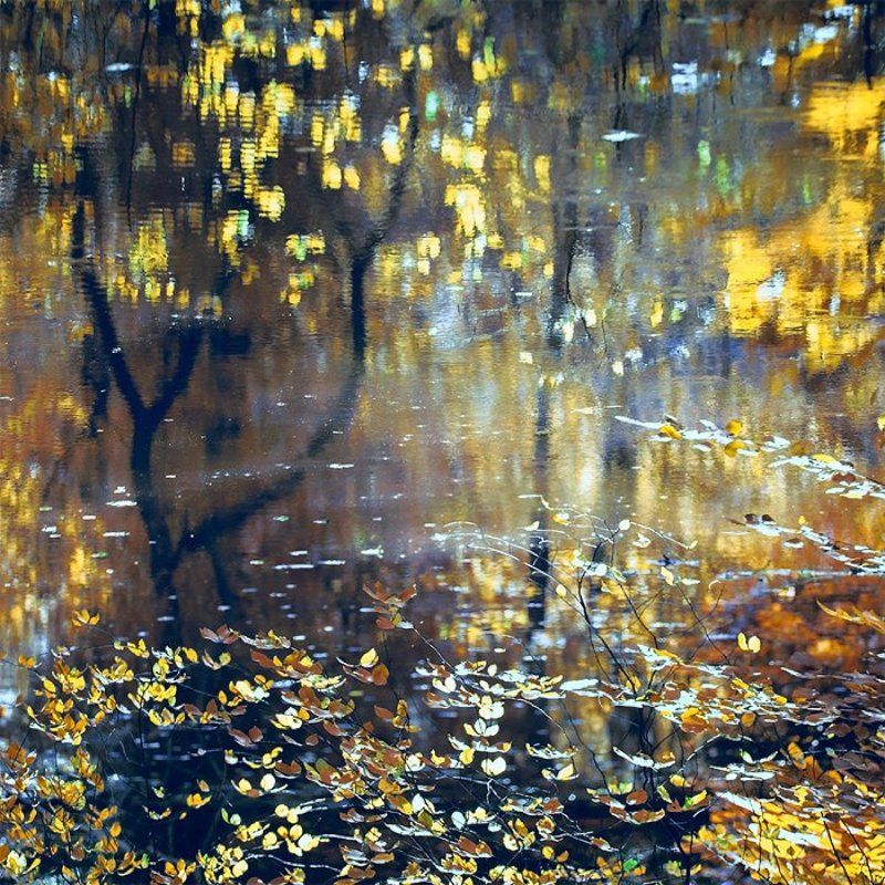 живопись, импрессионизм, картина, краски, листва, листья, масло, осенняя листва, осень, отражение, река Осенний этюдphoto preview