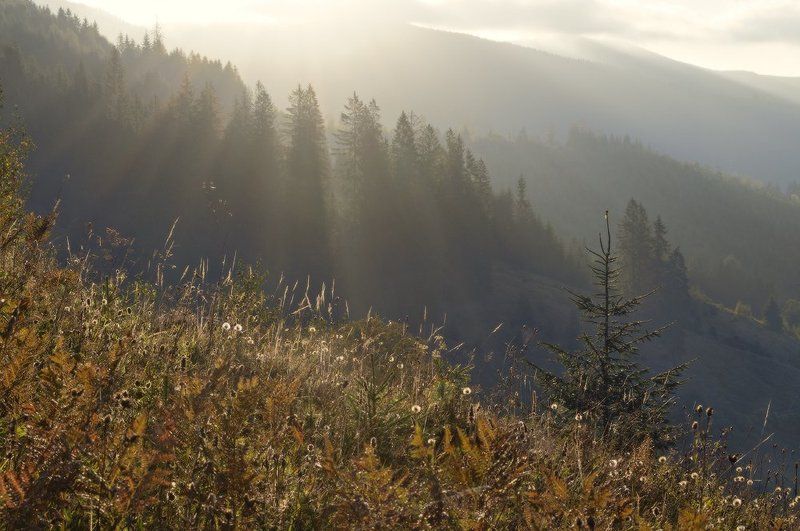 Дыхание карпатского утраphoto preview