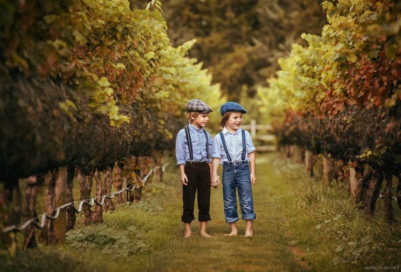 Winegrowersphoto preview