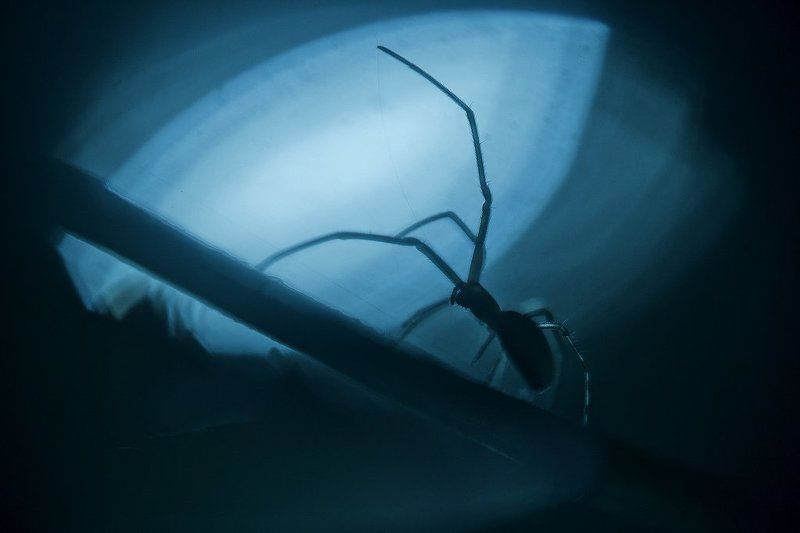 в ночиphoto preview