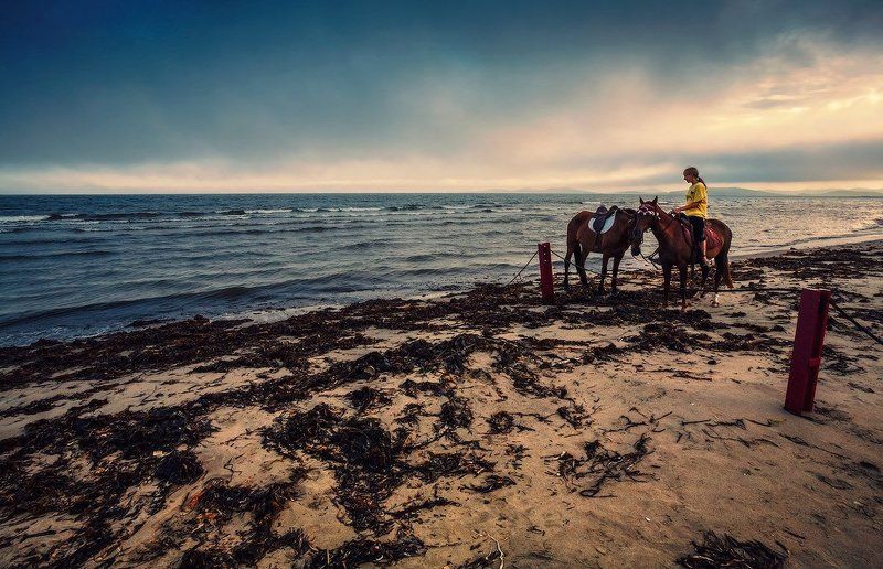 кони, пляж, вечер, прогулка, наездница На прогулке...photo preview