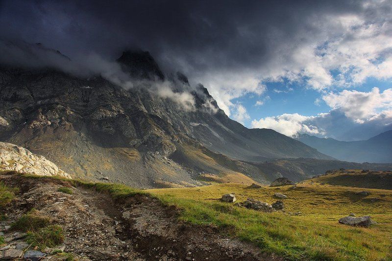 Чаухи в небесном пленуphoto preview