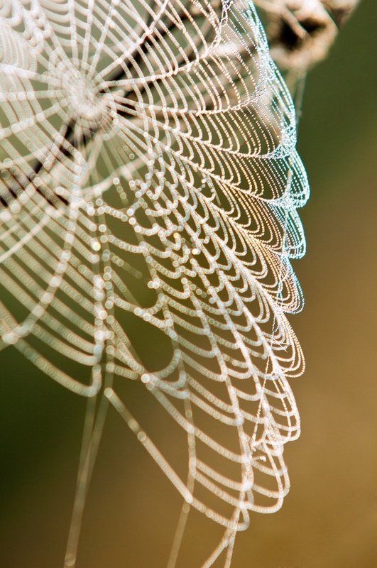 Бабье летоphoto preview