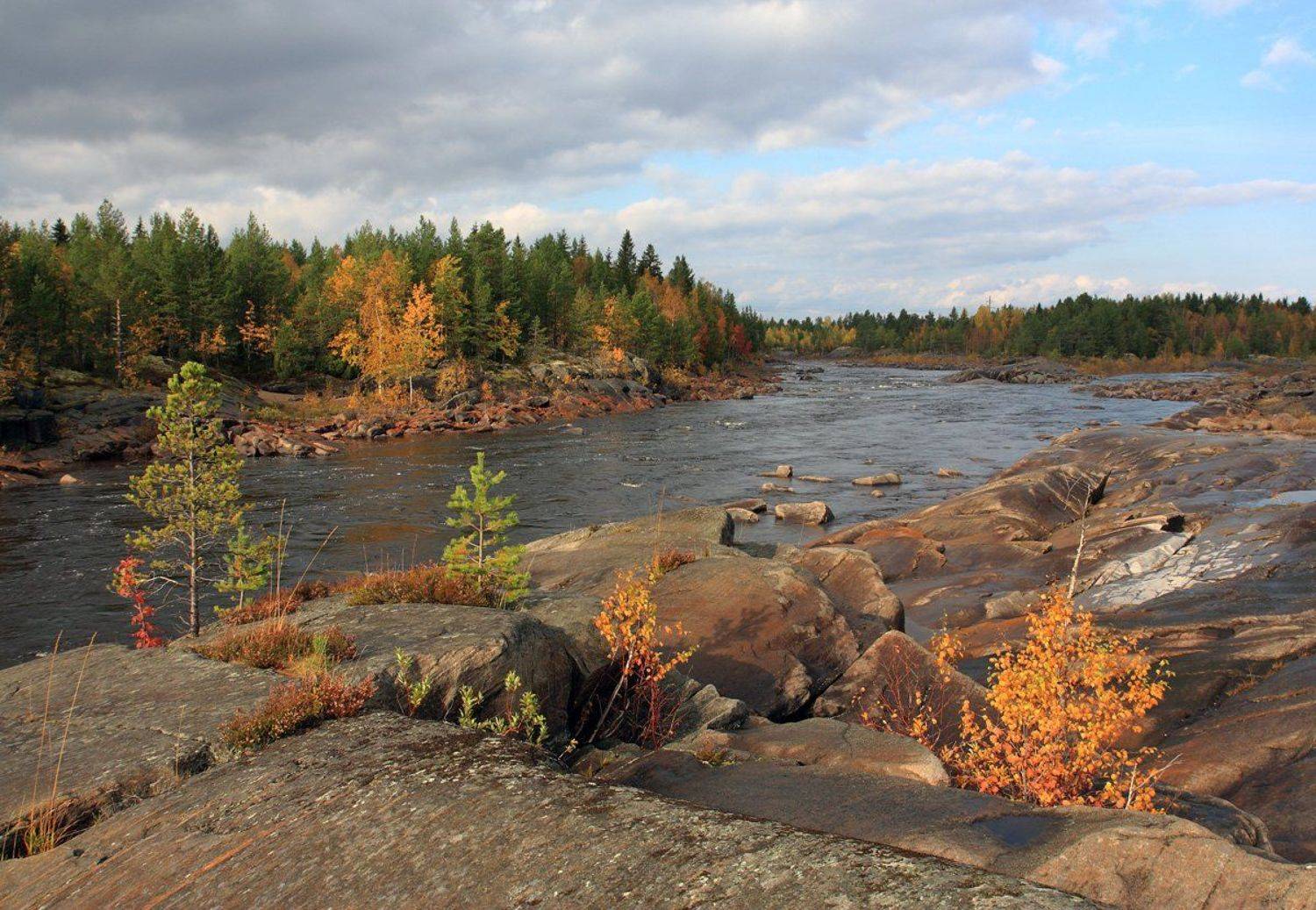 , Андрей Котов