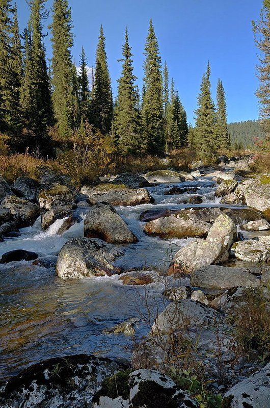 В поисках красивых камешков.photo preview