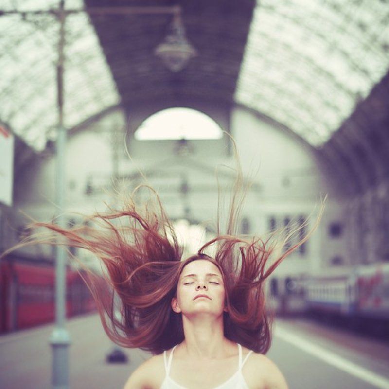 north windphoto preview