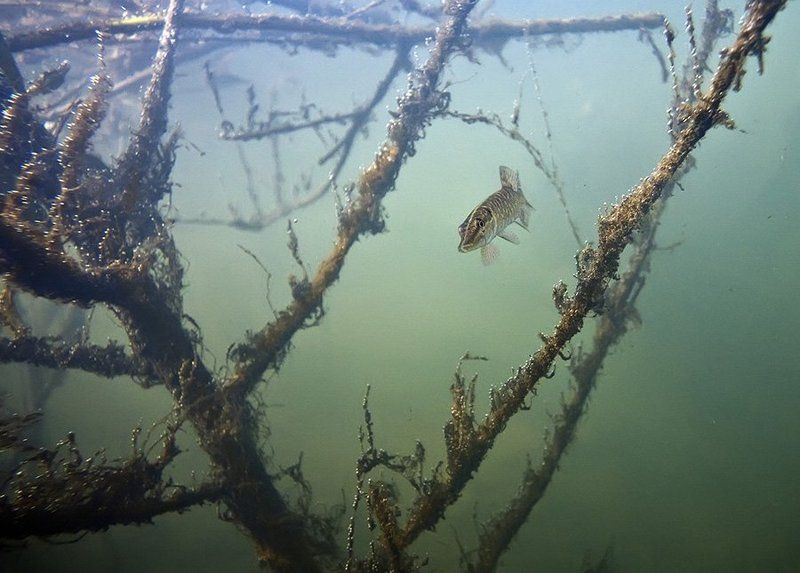 кто кого переглядитphoto preview