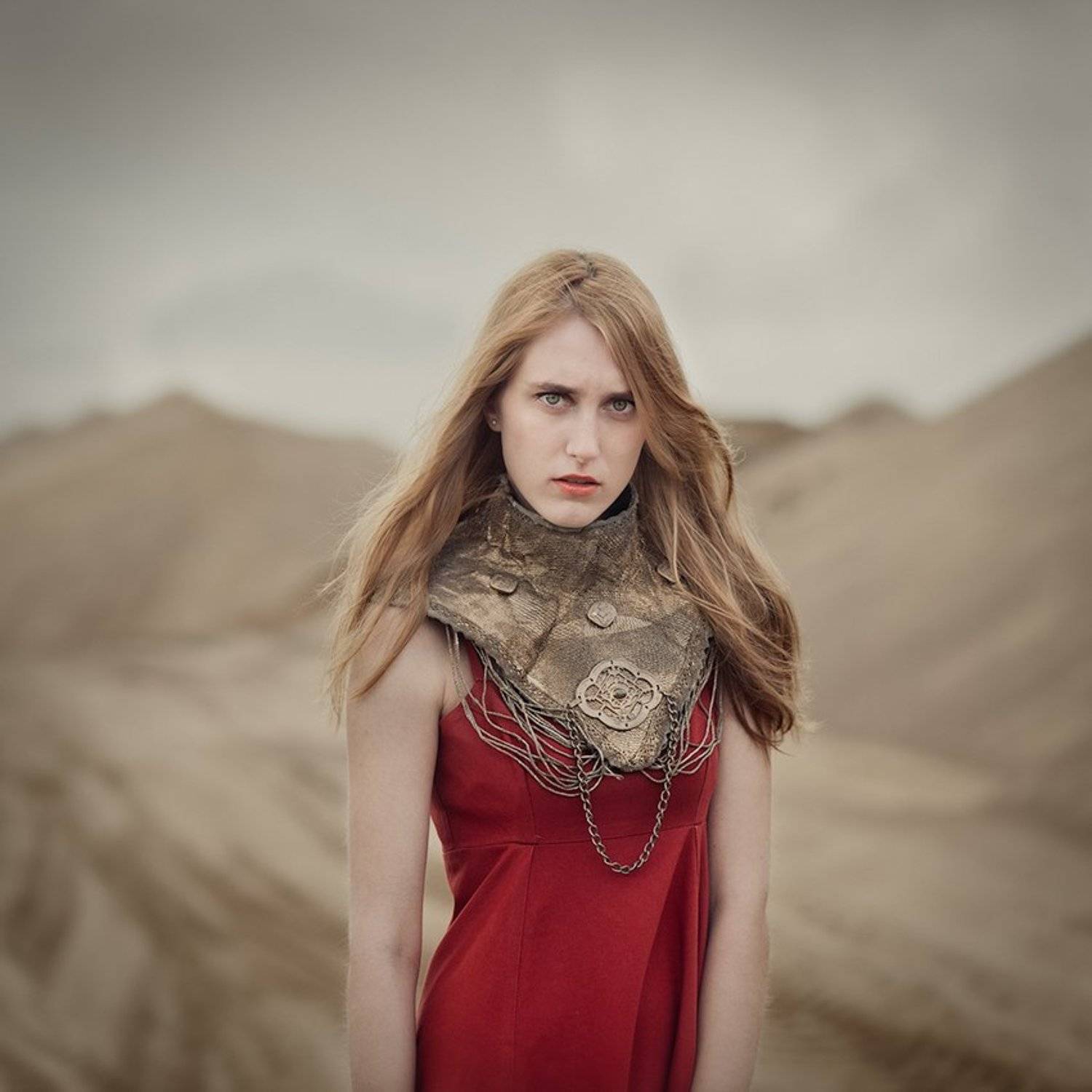 Dany. Автор: Iwona Aleksandrowicz , Iwona Aleksandrowicz